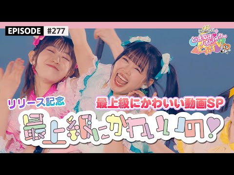 Saijokyu ni Kawaii No! Release Commemoration 🎉  / epi.277