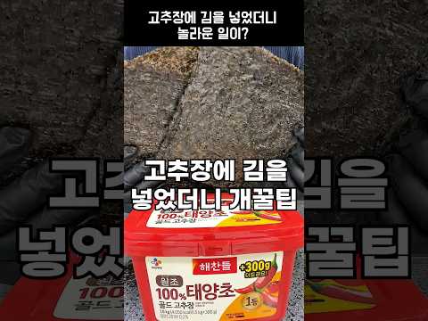 고추장에 김을 넣었더니 생기는 개꿀팁