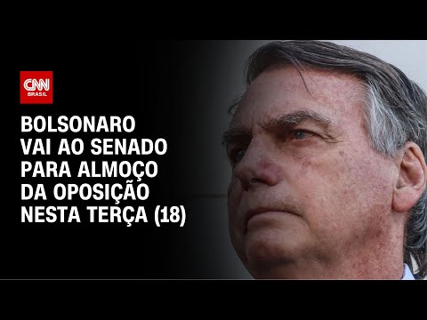 ​Bolsonaro vai ao Senado para almoço da oposição nesta terça (18) | CNN NOVO DIA