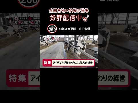 デーリィナビTV 260予告 #山田牧場#北海道音更町#酪農#牧場#牛舎#酪農情報番組##shorts#news#酪農家#cow