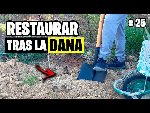 Restauro el BOSQUE DE ALIMENTOS Tras la DANA!! 🚀 Vlog #25 | La Huerta de Ivan