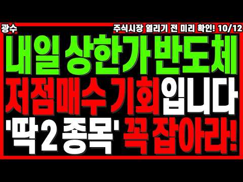 <strong>반도체</strong> 대장주 주가전망) <strong>반도체</strong> 급락 저점매수 기회! 상한가 급등 나올 주식 '딱 ２종목' 꼭 미리 잡아라! | 급등주 <strong>관련주</strong> 주식전망 주도주 추천주 디에스경제타임즈 광수