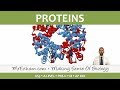 Protein Structure and Function Concepts