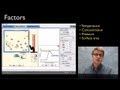 Chemical Reaction Rates and Factors
