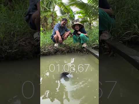 Lần đầu tiên lấy được tiền của Tía haha #mytao #funny #challenge #giaitri #shorts #trending #windnet