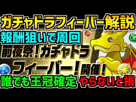 誰でも王冠確定！ガチャドラフィーバー立ち回り解説！報酬がマジでうまい！【パズドラ】