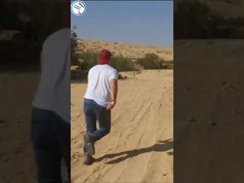 Aguas arrasan el desierto de Israel en Tierra Santa