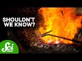 The Evolution and Mastery of Fire by Humans