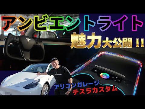 【最強】アンビエントライトTeslaカスタム！やりすぎパリピモードはガチで神！