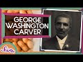 George Washington Carver and Plant Growth