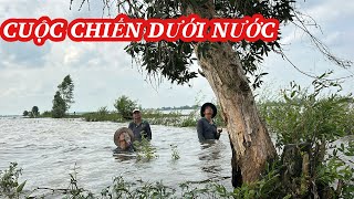 Đứng Dưới Nước Bắt Chuột Trên Cây Kết Quả Khủng Hoảng | Bông Lúa Đồng Tháp