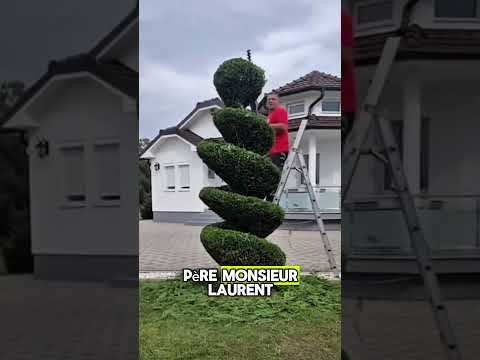 Vous en pensez quoi ?? #anecdote #espacedetravail #france #ecoledejardinage #jardin #paysagiste