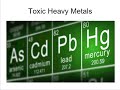 Lead and Mercury Contamination Issues