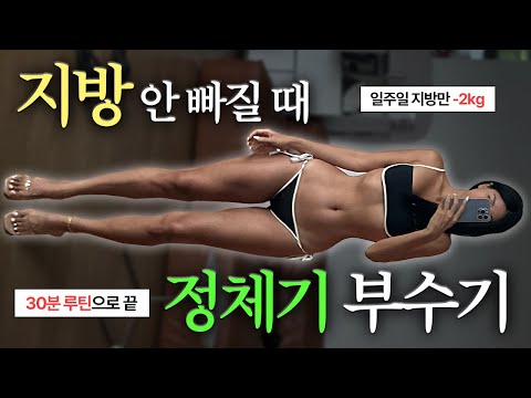 체지방 태우는 운동💦식단조절 없이 일주일 1사이즈 줄이기💪