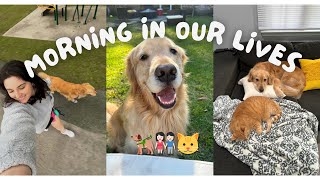 Morning in our Lives | My dog LOVES to sleep in..