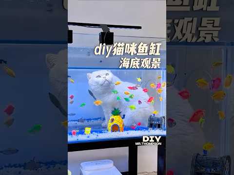 Diy bể cá cho mèo thật chill #diy #decor #caitaonha