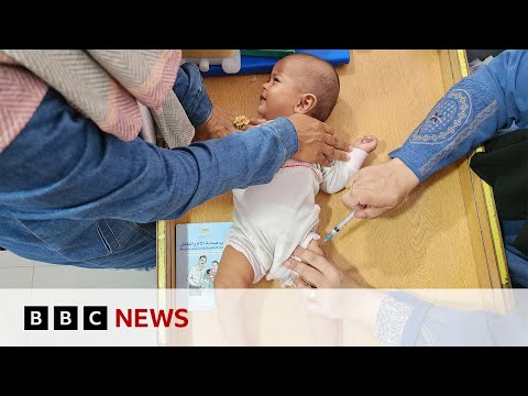 WHO exceeds target for Gaza polio vaccinations as campaign continues | BBC News