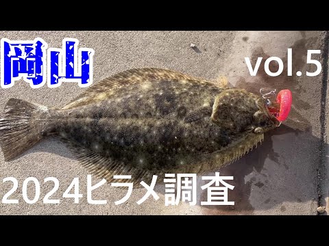 やっと釣れた！ヒラメ調査2024　vol.5 遠浅の河口を攻める！