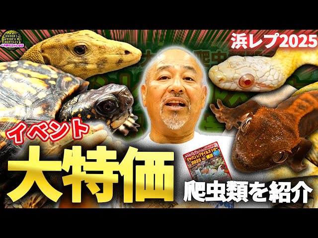 #爬虫類 #爬虫類初心者 #オーナーズフィッシュ #ジャパンレプタイルズショー #浜レプ
ジャパンレプタイルズショーin横浜2025（浜レプ2025）に出展します！
7/12(土)-7/13(日) 10:00-17:00にパシフィコ横浜にてイベントが開催されます
詳細は下記リンクをご確認ください
http://www.rep-japan.co.jp/jrs/index.html

★目次(チャプター)

0:00 オープニング
0:38 イベント概要
1:29 サルファモニター
4:26 トウブハコガメ
5:30 クナシリアルビノアオダイショウ
6:23 クレステッドゲッコー
8:05 エンディング

★オーナーズフィッシュ公式サイト
https://ownersfish.official.jp/

★Twitter
https://twitter.com/ownersfish

★Instagram
https://www.instagram.com/ownersfish/

★Line公式アカウント
https://line.me/R/ti/p/%40320jymis

★Linktree
https://linktr.ee/ownersfish