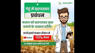 Weed Management in Wheat | गेहूं में खरपतवार नियंत्रण | Session 1