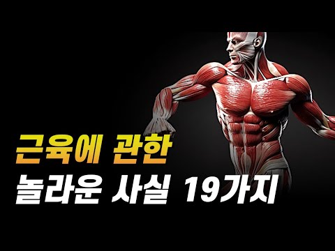 대부분 모르는 충격적인 근육에 대한 사실들