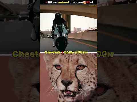If bikes live in animal creature then🤯|VR Explainer|#shorts #bike