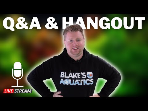 Blake's Aquatics Live Stream This video is sponsored by Aquarium Universe.
Visit https_//www.aquariumuniverse.com.au/ and enter c