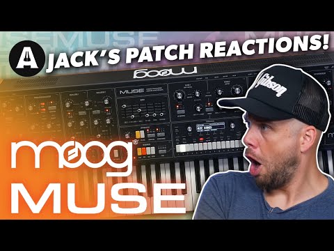 Moog Muse Synthesizer - Jack's Patch Reactions!