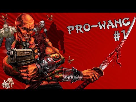 PRO WANG #1