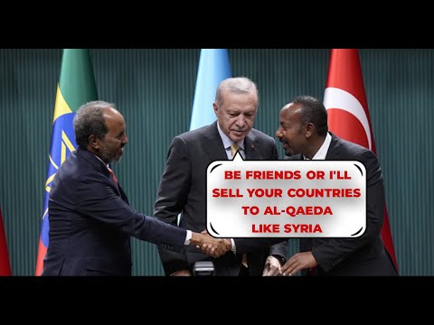 Ethiopia and Somalia Leaders Make Joint Peace Agreement in Turkey to End Tensions