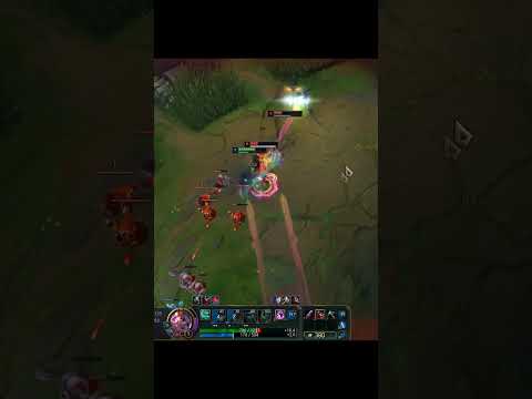 일라오이 보양식 카밀