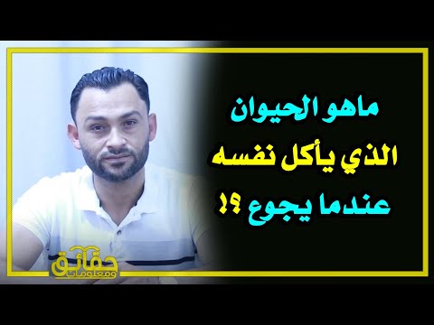 ماهو الحيوان الذي يأكل نفسه عندما يجوع⁉️ وماهو الحيوان الذي له تسع عقول⁉🤔