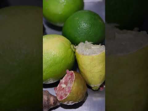 Resumo do fim-de-semana da EPVT no Festival Nacional de Gastronomia