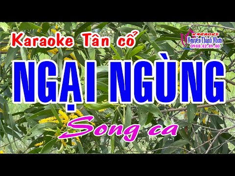 Karaoke tân cổ NGẠI NGÙNG – SONG CA [ Chí Tâm – Lệ Thu ] Tân cổ trước 75