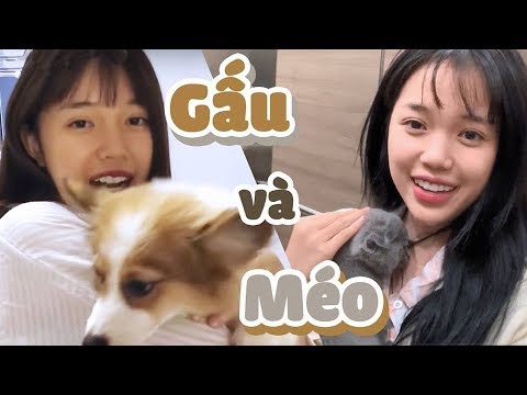 LỘ DIỆN ĐỨA CON THỨ HAI CỦA LINH NGỌC ĐÀM - MÉO ???