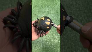 Inflating a Spider with Water!