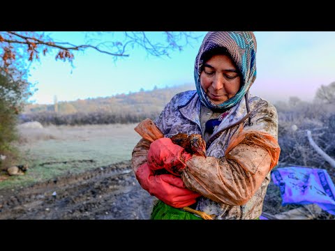 Zorlu Koşullarda Hayvancılık | "Cebimize giren para hiç bir zaman değişmiyor!" (Belgesel)