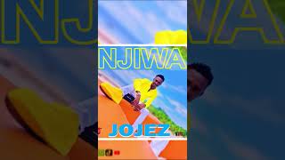 #Njiwa Check it out #like #share #subscribe
