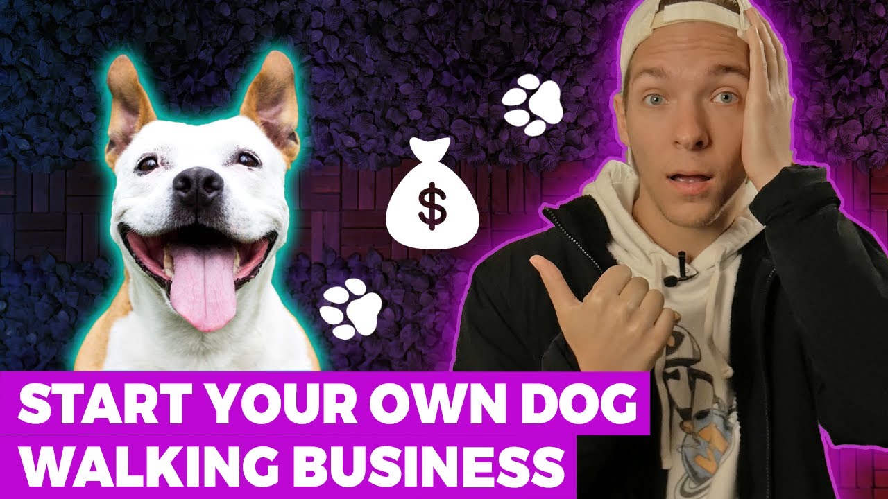 How to Start Your Own Dog Walking Business 2024