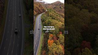 Chase Fall Color in the NC Mountains This Year