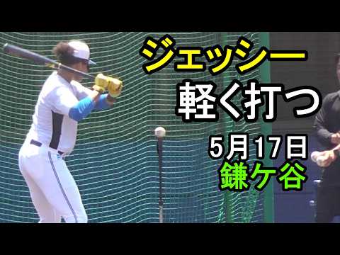 水谷瞬、輕く打つ(日本ハム鎌ケ谷)2026.5.17
