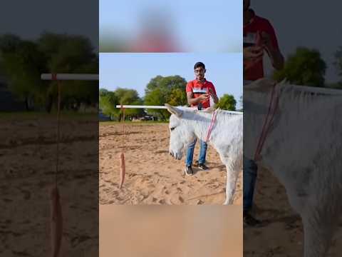 Animal brain test | किसकी बुद्धि तेज है