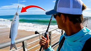 Fishing the Jetty with LIVE BAIT for Anything that Bites