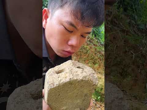 tưởng nhai gạch hóa ra nhai mì tôm