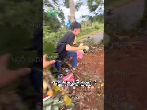 Núp bên đường chụp xe cho vui