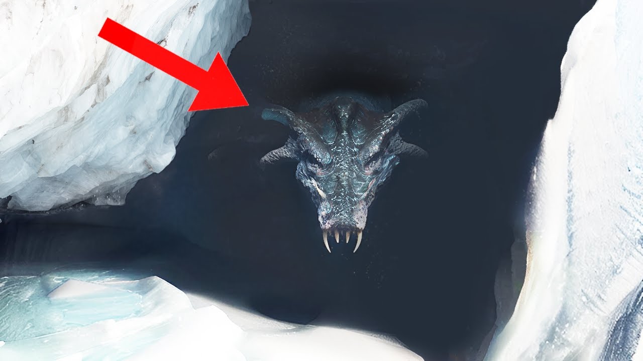 Creature Sightings In The Ice