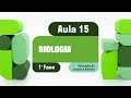 Sistema Circulatório e Doenças Cardiovasculares