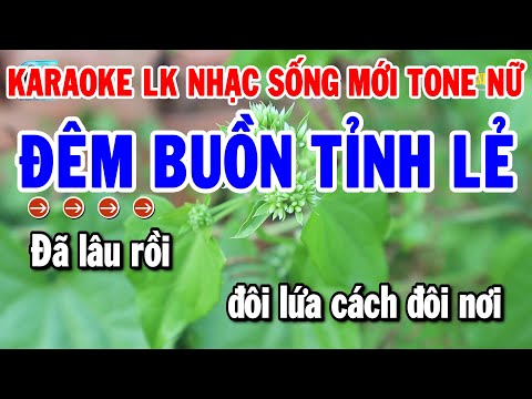 Karaoke Liên Khúc Nhạc Sống Tone Nữ Trữ Tình Dễ Hát | Đêm Buồn Tỉnh Lẻ – Chuyện Hoa Sim | Thanh Hải