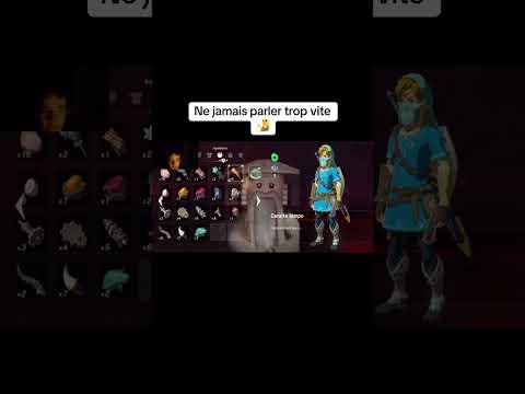 Twitch : Heikiro #clips #drole #twitch #zelda #zeldabreathofthewild