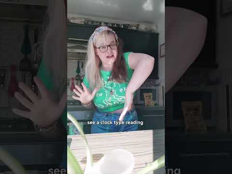 Fancy A Half-Year Check-In? (Tarot Offering)